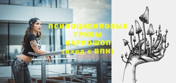 стаф Аркадак