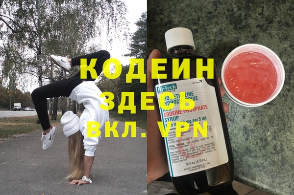 стаф Аркадак