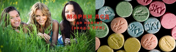 мяу мяу мука Новодвинск