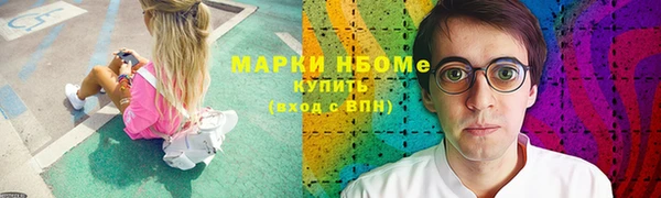 стаф Аркадак