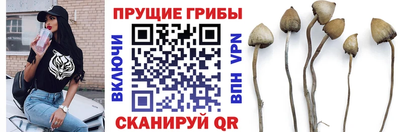 Галлюциногенные грибы ЛСД цены Яблоновский
